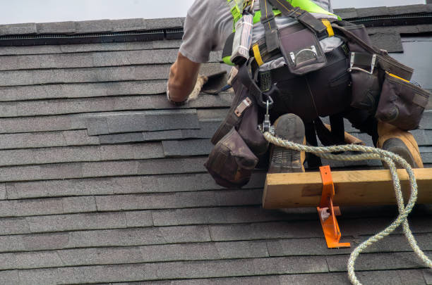 Best Rubber Roofing (EPDM, TPO)  in Grant, MI