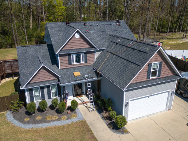 Best Asphalt Shingles Roofing  in Grant, MI